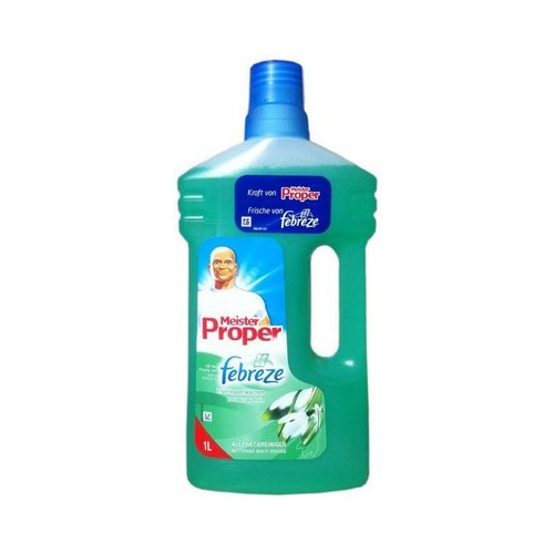 Mr.Proper Fruchlingserwachen 1L