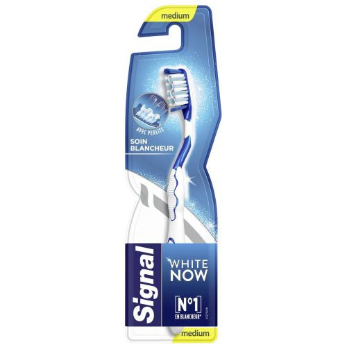 Signal White Now Brush 1 pc